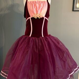 Charming Burgundy and Pink Tutu Dance Costume